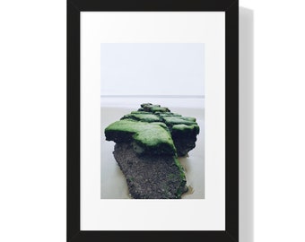 Point Reyes, California - Nature 1 (Framed Vertical Poster)