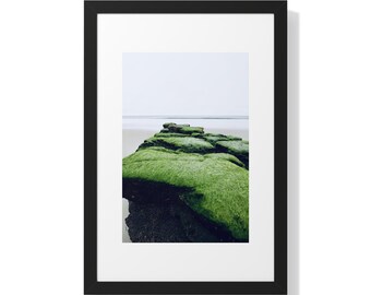 Point Reyes, California - Nature 2 (Framed Vertical Poster)