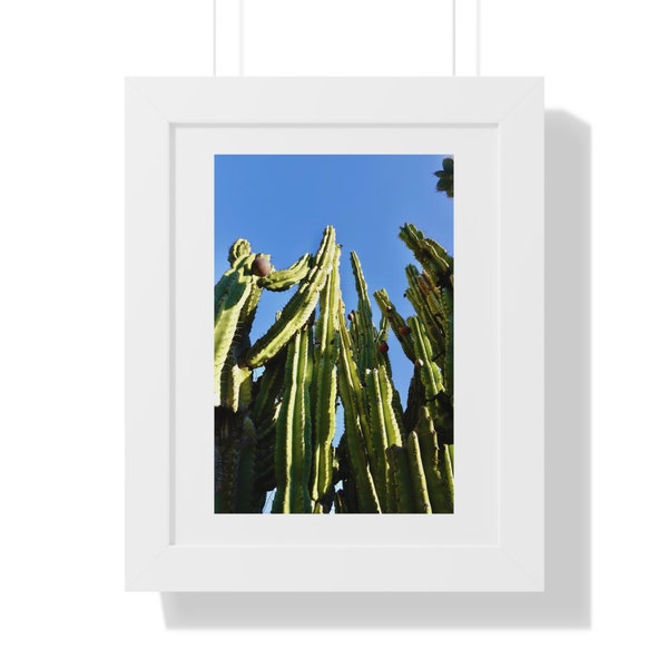 Cactuses (Framed Vertical Poster)