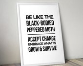 Inspirational Biology Poster Print with Black Bodied Peppered Moth Phrase for Geneticists, Evolutionists Entomologists, or History Classroom