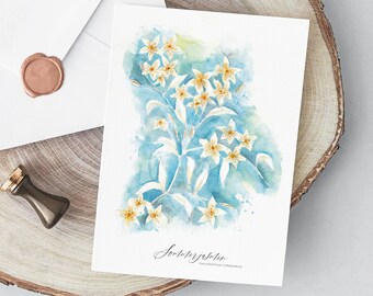 Set of 10 watercolor english dogwood greeting card with envelopes