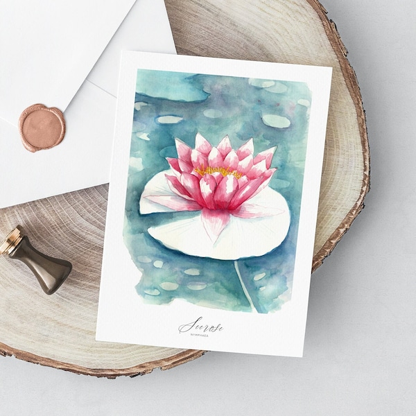 Zarte Grußkarte mit einer Seerose, Blumenkarte mit Kuverts, botanische Malerei, Aquarell