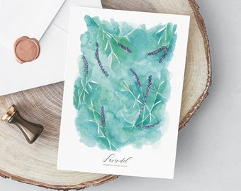 Set of 10 watercolor lavender greeting card with envelopes