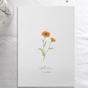 Personalized Birth Flower Marigold with First Name and Date of Birth, October Birth Gift, Marigold Illustration