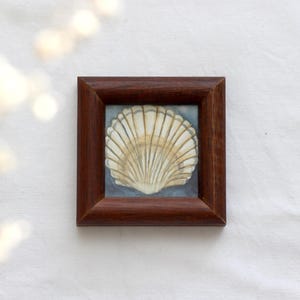 Studio di una mini natura morta di conchiglie, dipinto ad acquerello - Immagine di spiaggia vintage e suggestiva, 6,5 x 6,5 cm | Belle Arti di Judit Fortelny