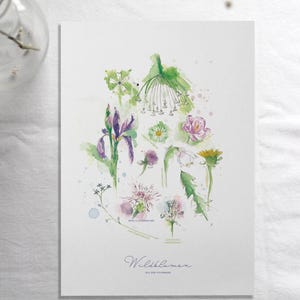 Displaybord wilde bloemen uit de Alpen, poster wilde bloemen | JF Ontwerp Schone Kunsten