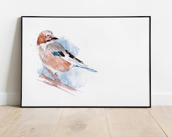 Watercolor Jay, Animal Portrait Art Print | Judit Fortelny Fine Art