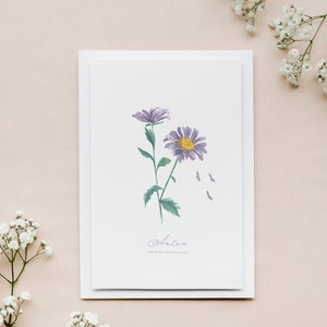 秋のアスターの繊細なグリーティング カード、封筒付きの花カード、植物画、花の水彩画