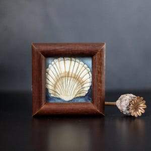 Mini sea shell still life watercolor painting with gold details – decorative vintage beach art, 6.5 x 6.5 cm | Judit Fortelny Fine Art