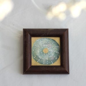 Studio di un mini riccio di mare, natura morta, dipinto ad acquerello - Immagine di spiaggia vintage e suggestiva, 6,5 x 6,5 cm | Belle Arti di Judit Fortelny