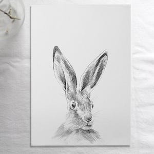 Stampa artistica lepre, ritratto di animale disegno in bianco e nero | Belle Arti di Judit Fortelny