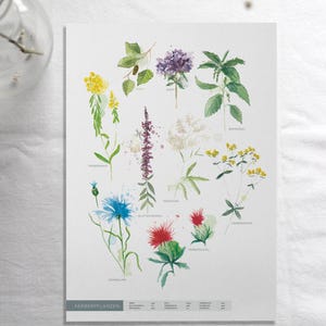 Verfplanten displaybord - poster met planten verven, workshop decoratie | JF Ontwerp Schone Kunsten