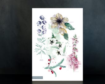 Chart of Poisonous Plants - Poisonous Plants Poster, Educational Poster | JF Design Fine Art