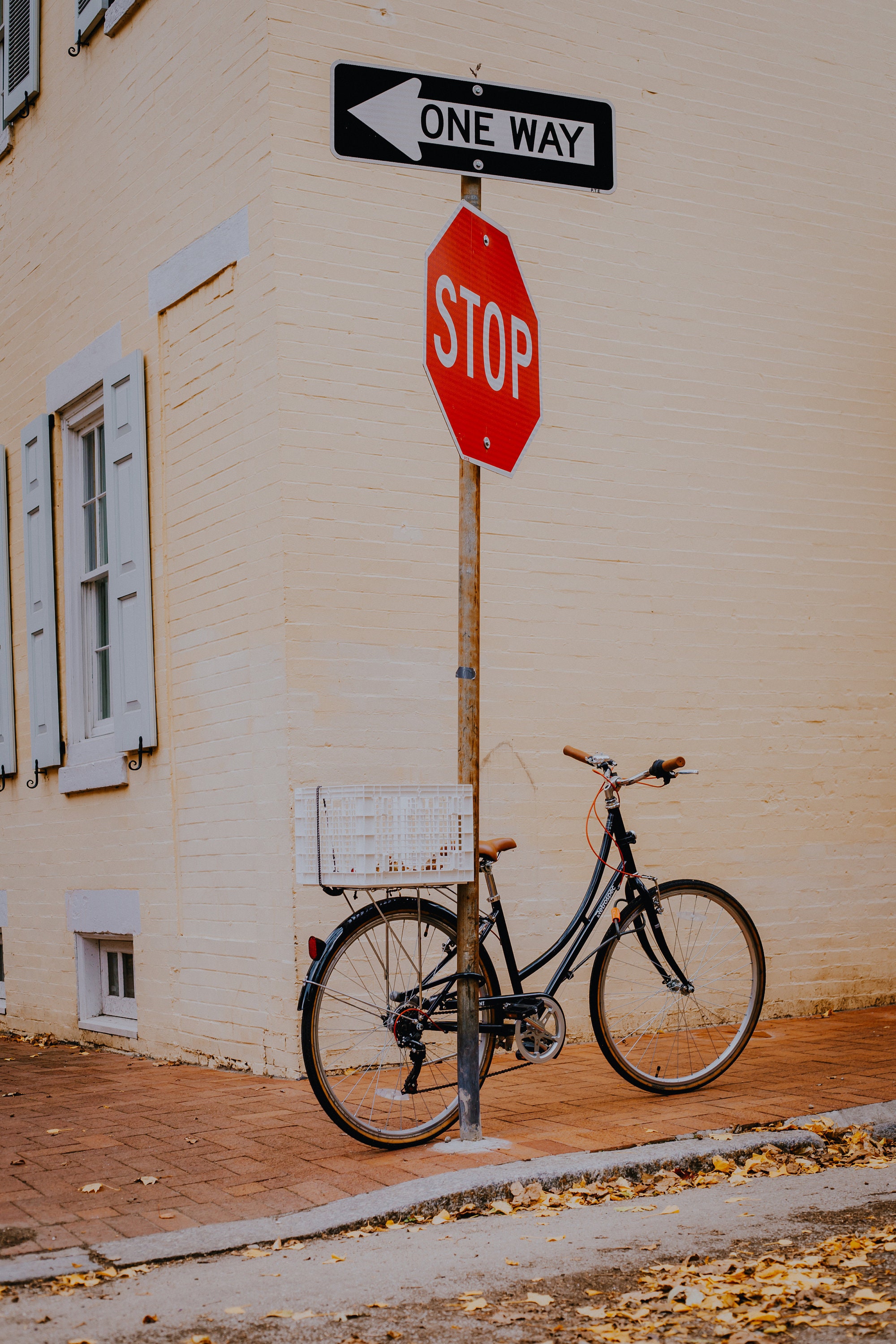 classic beach cruiser