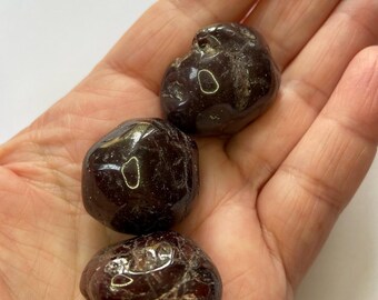 Garnet Crystal/ Tumblestone with an information card in an organza bag