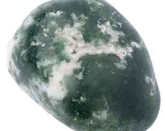 Moss Agate Tumblestone /Crystal 20-30mm with an information card in an organza bag