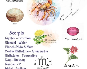 Scorpio Zodiac Birthday Print | Personalised Gemstone Astrology Wall Art