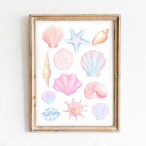 Coastal Seashells Hand Illustrated Printable Wall Art Digital Print - Coastal Cowgirl Decor - Coastal Dorm Wall Art - Preppy Beach Art