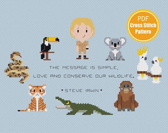 Steve Irwin Inspired Cross stitch Pattern - Australia Cross stitch - PDF Download - Animals Cross stitch - Koala Crossstitch