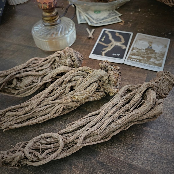 Master Root - Whole Root - Hoodoo - Rootwork - Conjure - Spirituality