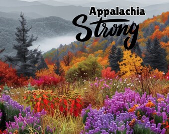 Appalachia Strong Tumbler, 20oz Sublimation Tumbler Design, Straight and Tapered Skinny PNG, Sublimation Design, Hurricane Helene Tumbler