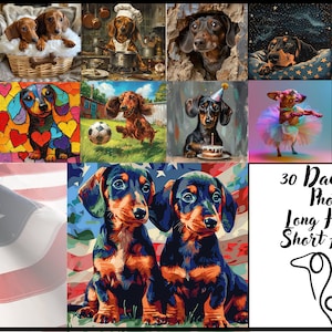 30 plus Dachshund Bundle 20oz Skinny Tumbler Sublimation Design, Dachshund Mom Tumbler, Straight Tumbler Wrap, dog gift, Dachshund Dog gift