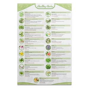 Healthy Herb Poster, Restaurant Wall Art, Kitchen Wall Art, Healing Herb Poster, Herb Wall Poster, Cottagecore Wall Art, Kitchen Herbs