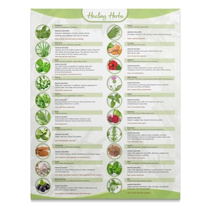 Healthy Herb Poster Wall Art, Restaurant Wall Art, Kitchen Wall Art, Healing Herb Poster, Herb Wall Poster, Cottagecore Art, Kitchen Herbs