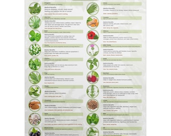Healthy Herb Poster Wall Art, Restaurant Wall Art, Kitchen Wall Art, Healing Herb Poster, Herb Wall Poster, Cottagecore Art, Kitchen Herbs