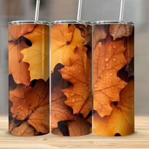 Herbstlaub Boden 20 Unzen Sublimationsbecher Design, gerade und konische Skinny Tumbler Wrap PNG, Sublimationsdesign