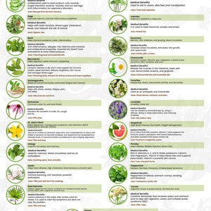 Arte mural de hierbas saludables, arte mural de restaurantes, arte mural de cocinas, póster de hierbas curativas, póster de hierbas para la pared, arte mural de estilo cottagecore, hierbas para la cocina
