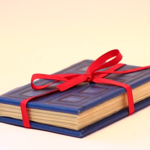 Doctor Who River Song&#39;s Journal (hand-made)