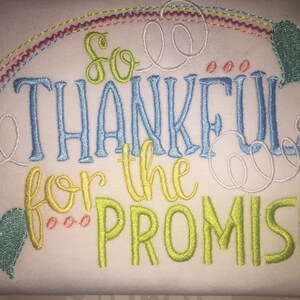 Thankful for the promise embroidered rainbow Christian kids shirt, bible school tee, rainbow baby sibling shirt, rainbow baby bodysuit, gift