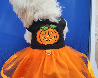 May include: A dog in a Halloween costume featuring a black vest with a pumpkin design and an orange tutu skirt. The skirt has a satin ribbon trim. The dog is on a blue surface. The costume is for pets.