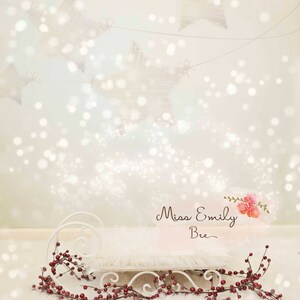 Christmas Sledge Digital Backdrop Prop for Newborn Photography