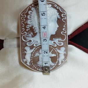 May include: A cameo brooch featuring a woman's profile with curly hair, surrounded by a brown shell with a decorative design. Two cherubs are carved on either side of the woman's profile.