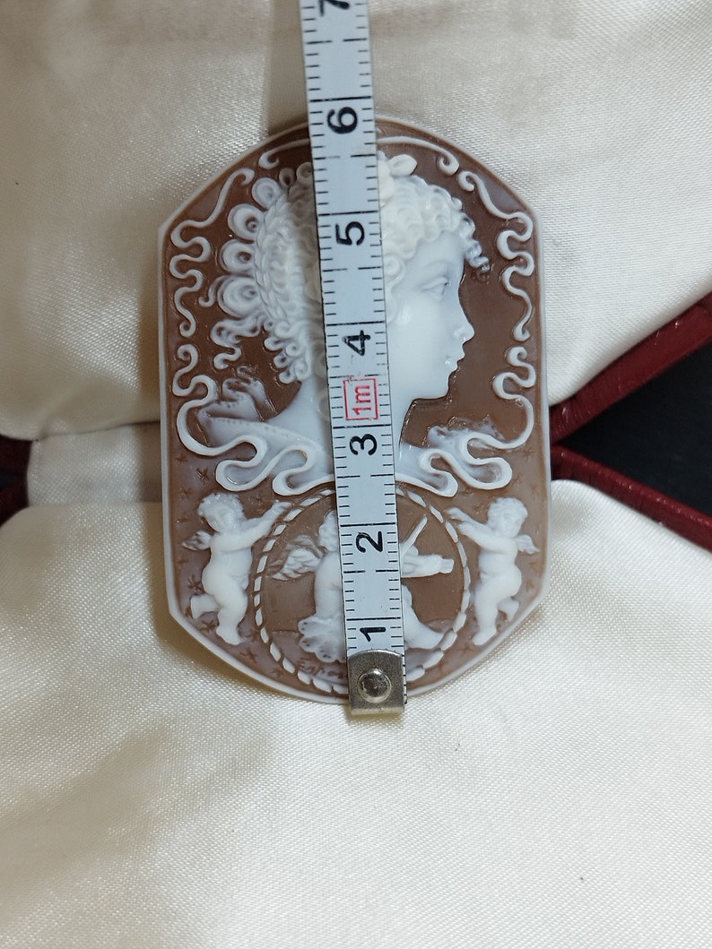 May include: A cameo brooch featuring a woman's profile with curly hair, surrounded by a brown shell with a decorative design. Two cherubs are carved on either side of the woman's profile.