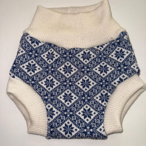 Large 12-24M 18-28 lb Repurposed Pure Wool Diaper Cover with Felted Liner - Blues