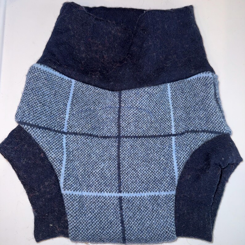 May include: A blue and gray dog sweater with a plaid pattern. The sweater has a high, dark blue collar and dark blue sleeves. The plaid pattern is light blue and dark blue.