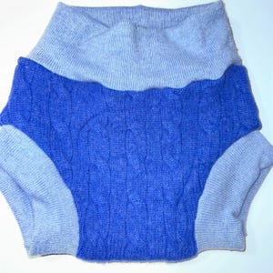 May include: A blue and light blue knitted pet sweater. The sweater has a cable knit design in the center and a high collar. The sleeves and collar are light blue, while the body is a darker blue.