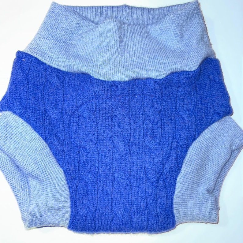 May include: A blue and light blue knitted pet sweater. The sweater has a cable knit design in the center and a high collar. The sleeves and collar are light blue, while the body is a darker blue.