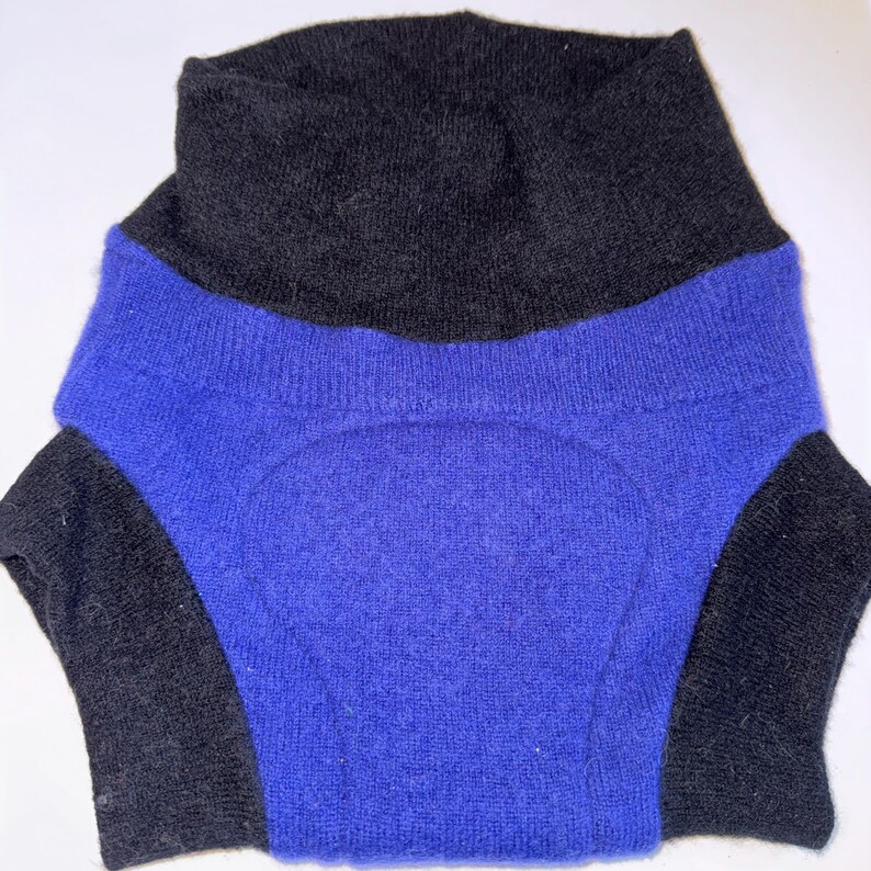 May include: A two-tone garment, featuring a black turtleneck and a vibrant blue midsection. The sleeves are also black. The fabric appears to be a soft knit, suggesting warmth and comfort. The design is simple and modern, suitable for layering or standalone wear.