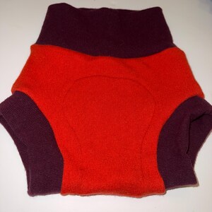 Large 12-24M 18-28 lb Upcycled Wool Diaper Cover with Felted Liner - Assorted Colors Pumpkin/cranberry