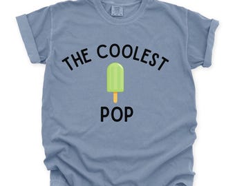 Camiseta divertida de papá con paleta: Camisa 100 % algodón con colores cómodos