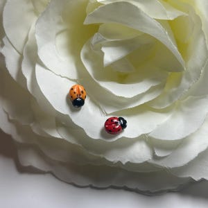 May include: Two small ladybug figurines, one orange and one red, on a white flower.
