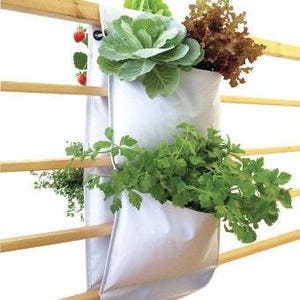 Puede incluir: Un macetero colgante de tela blanca con tres compartimentos, que contiene una variedad de plantas, incluyendo verduras de hoja verde, col y lechuga roja. El macetero está sujeto a un enrejado de madera.