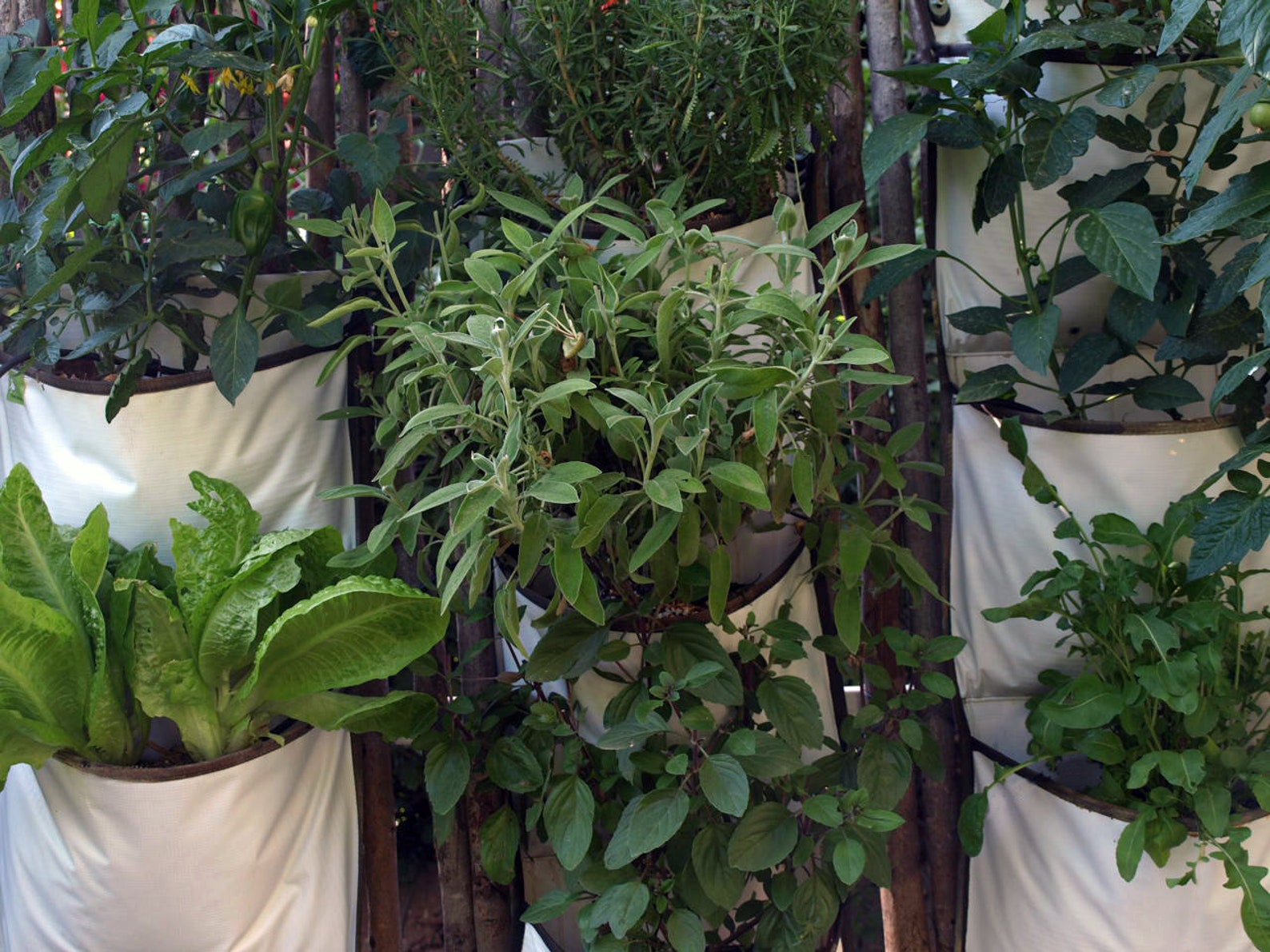 Vertical Garden Triple Pocket Planter Invivo DIY Hanging - Etsy