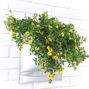Puede incluir: Un macetero de pared de tela blanca con una cascada de flores amarillas. El macetero está sujeto a una pared de ladrillo blanco.