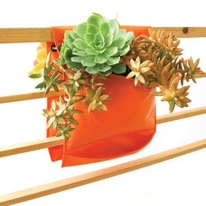 May include: Orange fabric planter with a variety of succulents growing inside. The planter is hanging from a wooden railing.