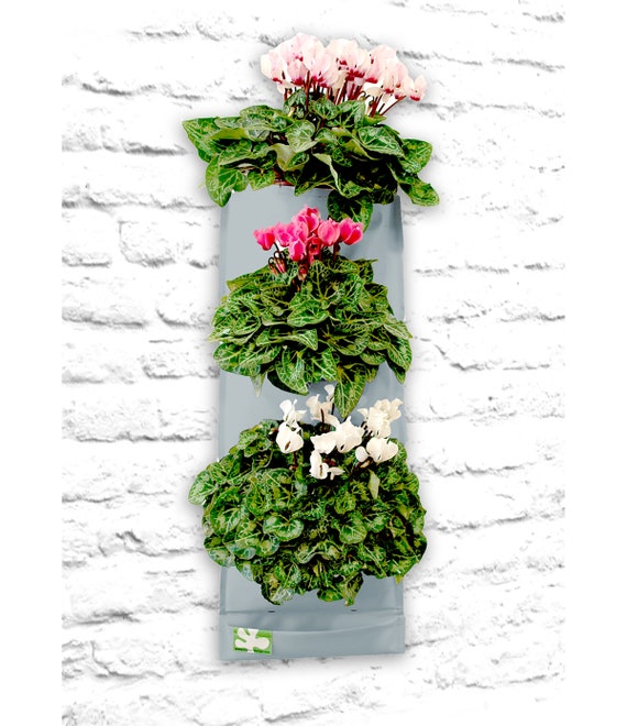 Vertical Garden Mini Triple Pocket Planter Invivo Diy - Etsy